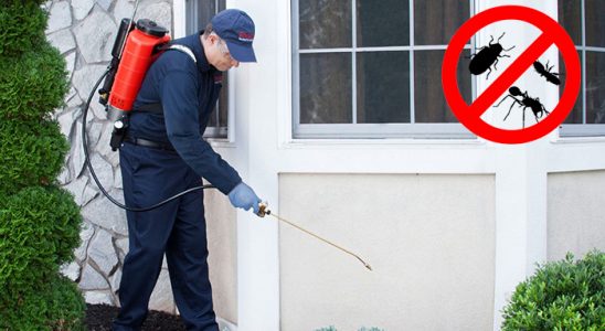 Özdere Bit İlaçlama böcek ilaçlama ve haşere kontrolü — ilaclama-tr.com